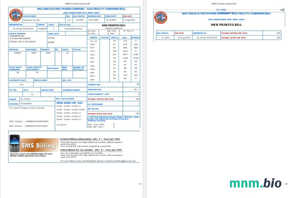 PAKISTAN MULTAN ELECTRIC POWER rachunek za usługi komunalne słowo i szablon PDF